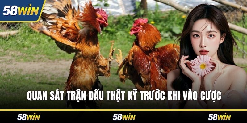 Quan sát trận đấu thật kỹ trước khi vào cược