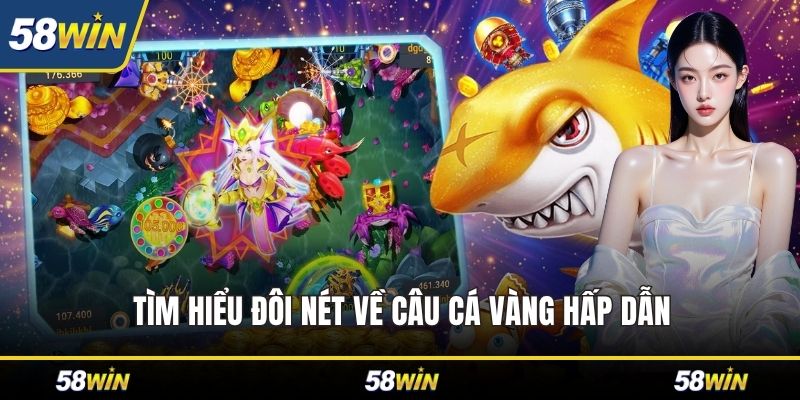 Tìm hiểu đôi nét về Câu Cá Vàng hấp dẫn