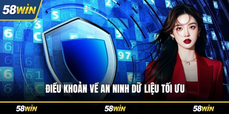 Điều khoản về an ninh dữ liệu tối ưu